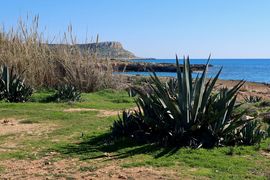 Cypr, Cypr Północny 2025