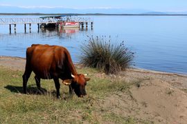 Gruzja cz. zachodnia - 2023