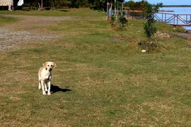 Gruzja cz. zachodnia - 2023