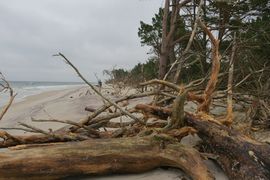 Półwysep Helski - 2017