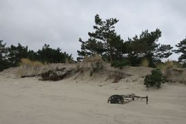 Półwysep Helski - 2017