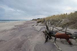 Półwysep Helski - 2017