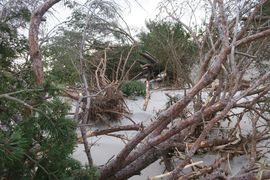 Półwysep Helski - 2017