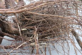 Półwysep Helski - 2017