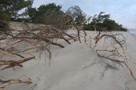 Półwysep Helski - 2017