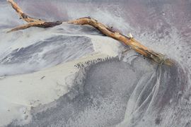 Półwysep Helski - 2017