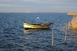 Półwysep Helski - 2017