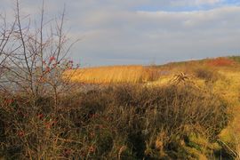 Półwysep Helski - 2017