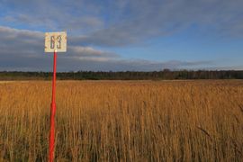 Półwysep Helski - 2017