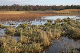 Półwysep Helski - 2017