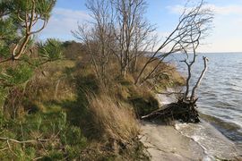 Półwysep Helski - 2017