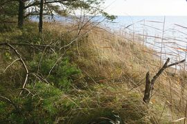 Półwysep Helski - 2017