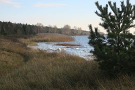 Półwysep Helski - 2017