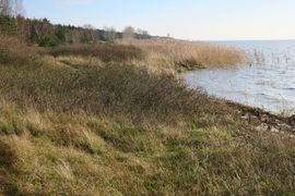 Półwysep Helski - 2017