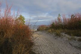 Półwysep Helski - 2017