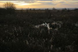 Półwysep Helski - 2017