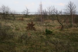 Półwysep Helski - 2017