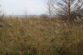 Półwysep Helski - 2017