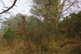 Półwysep Helski - 2017