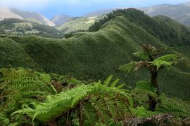 Wyspa Świętej Heleny 2020