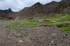 Wyspa Świętej Heleny 2020