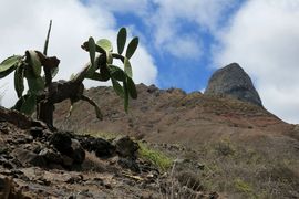 Wyspa Świętej Heleny 2020