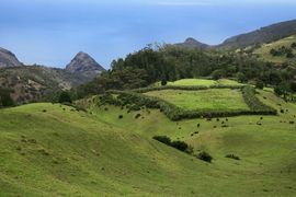 Wyspa Świętej Heleny 2020