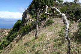 Wyspa Świętej Heleny 2020