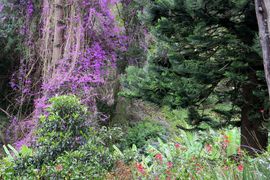 Wyspa Świętej Heleny 2020