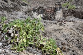 Wyspa Świętej Heleny 2020