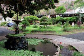 Wyspa Świętej Heleny 2020