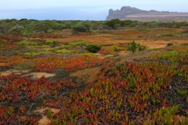 Wyspa Świętej Heleny 2020