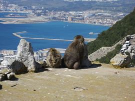 Hiszpania, Gibraltar, Maroko 2014