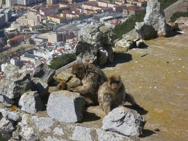 Hiszpania, Gibraltar, Maroko 2014