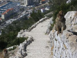 Hiszpania, Gibraltar, Maroko 2014
