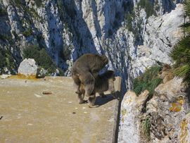 Hiszpania, Gibraltar, Maroko 2014