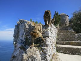 Hiszpania, Gibraltar, Maroko 2014