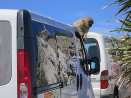 Hiszpania, Gibraltar, Maroko 2014