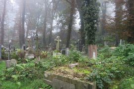 Belgia, Rumunia, Ukraina 2023