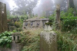 Belgia, Rumunia, Ukraina 2023