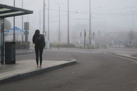 Belgia, Rumunia, Ukraina 2023