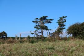 Wyspy Normandzkie 2024