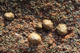 Wyspy Normandzkie 2024