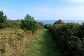 Wyspy Normandzkie 2024