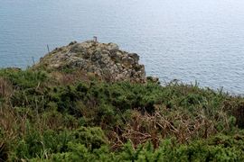 Wyspy Normandzkie 2024