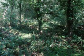 Wyspy Normandzkie 2024