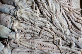 Korea Południowa, Chiny 2016