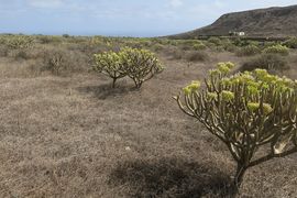 Wyspy Kanaryjskie I - 2017