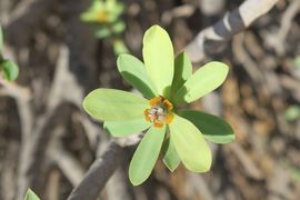 Wyspy Kanaryjskie I - 2017