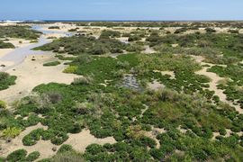 Wyspy Kanaryjskie I - 2017